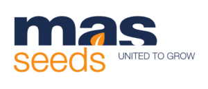 Mas Seeds, united to grow